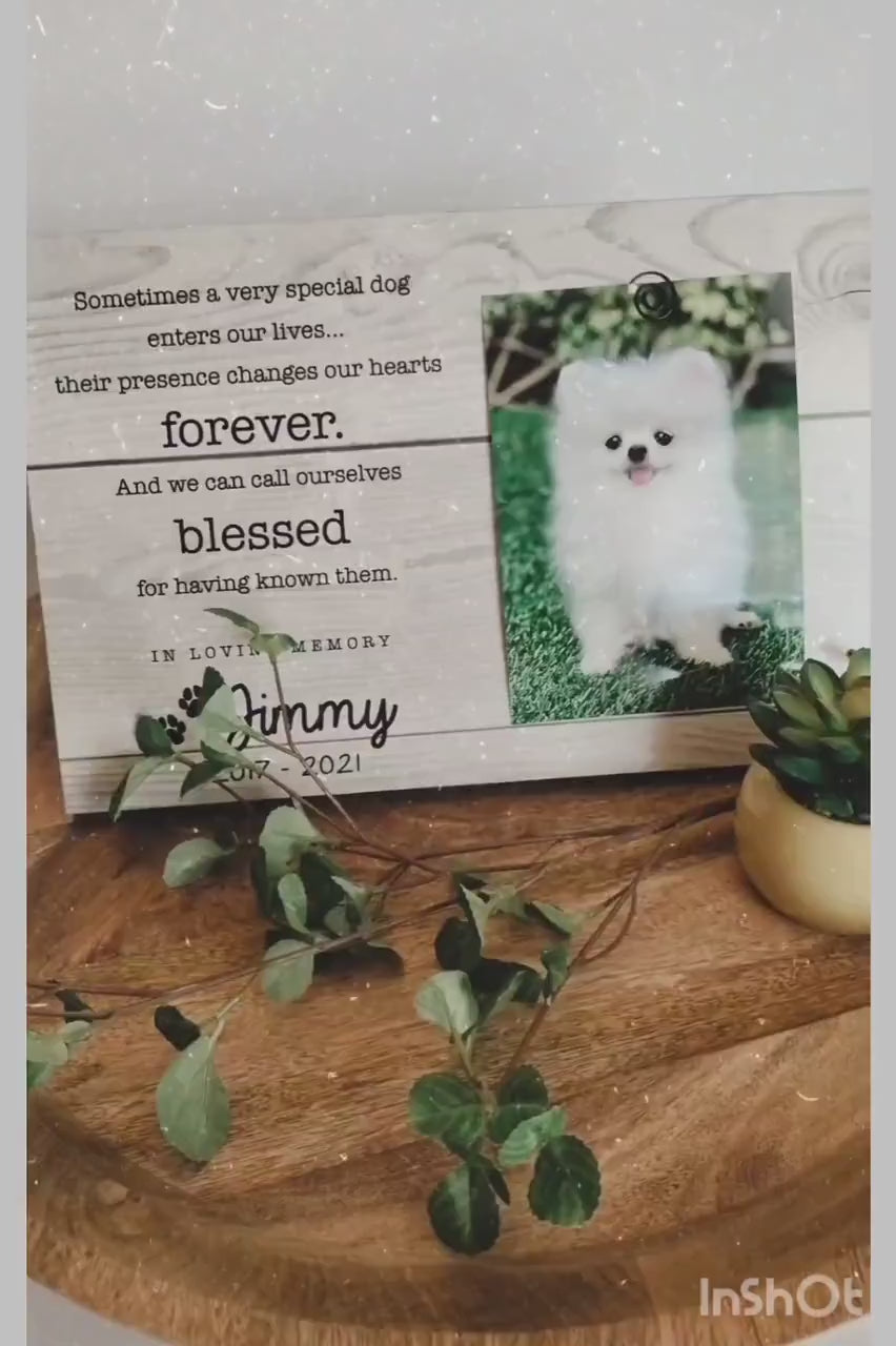 Personalized Cat Memorial Frame | Pet Loss Gift for Cat Lovers | Rainbow Bridge Pet Sympathy Gift | Custom Pet Bereavement Keepsake